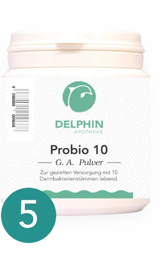 Eigenprodukt - Probio 10 G. A. Pulver